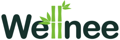 Wellnee Knee Brace 1